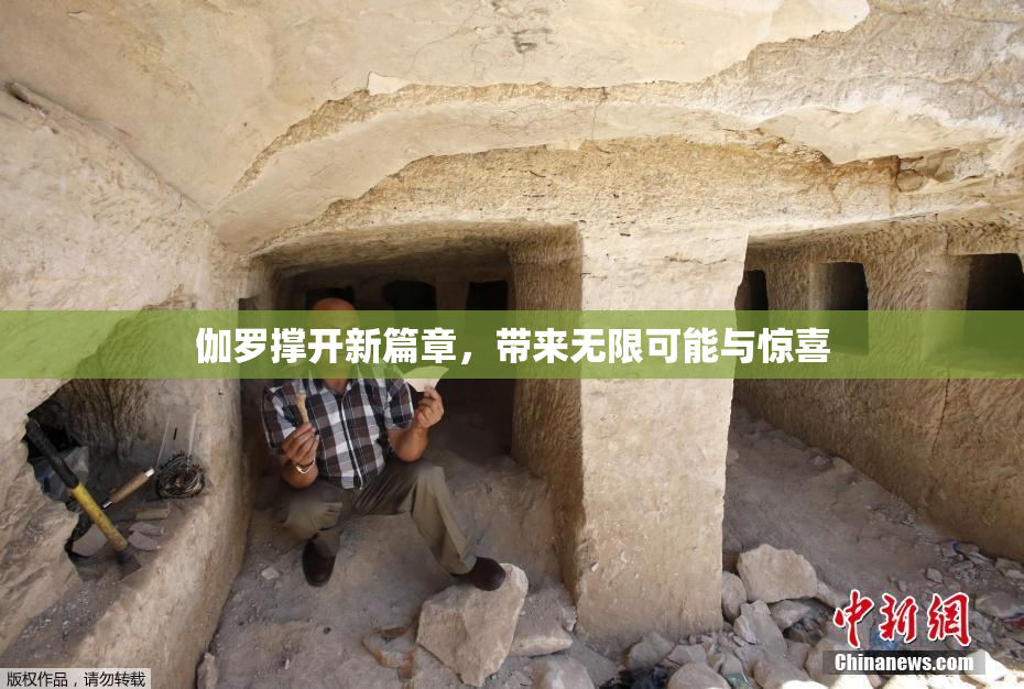 伽罗撑开新篇章，带来无限可能与惊喜
