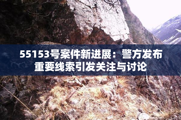 55153号案件新进展：警方发布重要线索引发关注与讨论