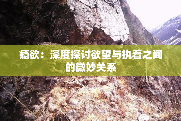 瘾欲：深度探讨欲望与执着之间的微妙关系