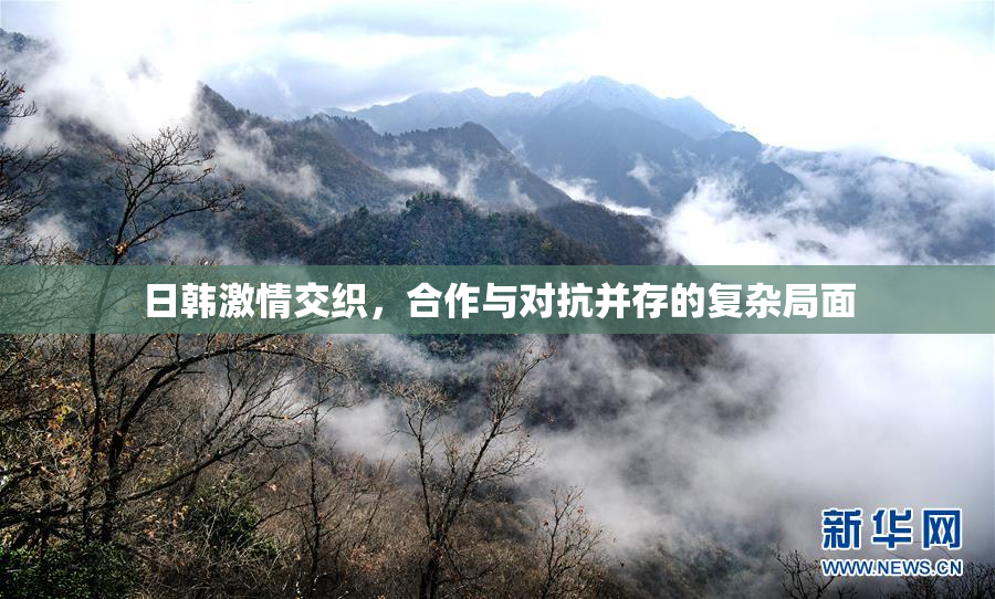 日韩激情交织，合作与对抗并存的复杂局面
