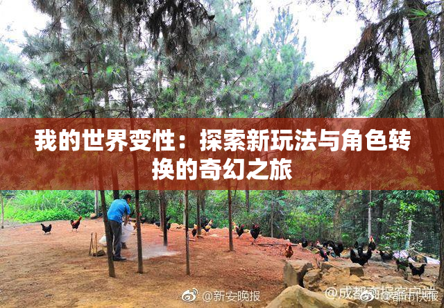 我的世界变性：探索新玩法与角色转换的奇幻之旅