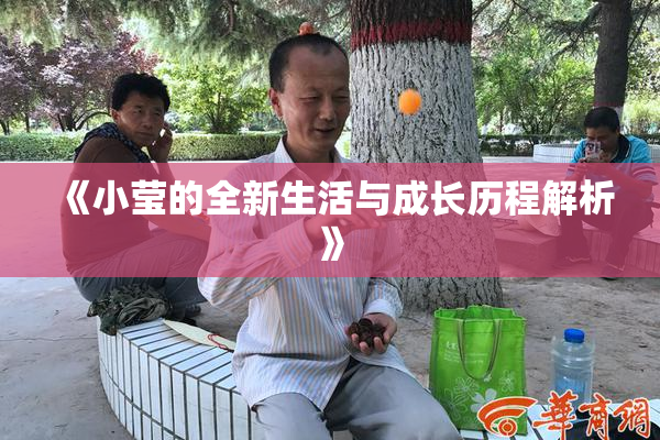 《小莹的全新生活与成长历程解析》
