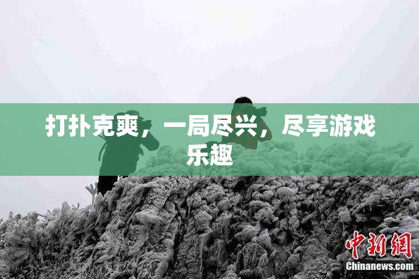 打扑克爽，一局尽兴，尽享游戏乐趣