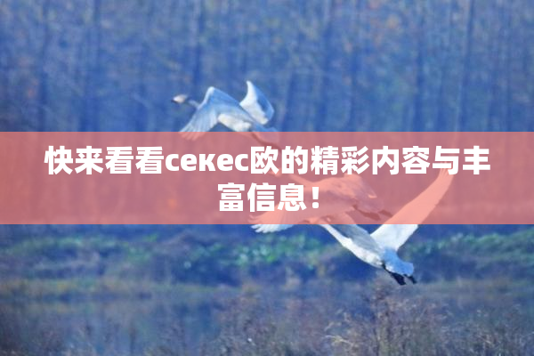快来看看ceкес欧的精彩内容与丰富信息！