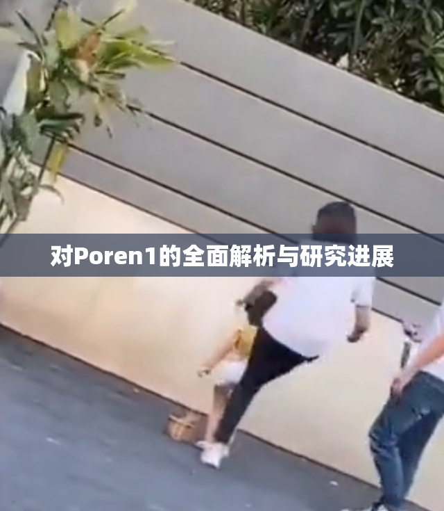对Poren1的全面解析与研究进展