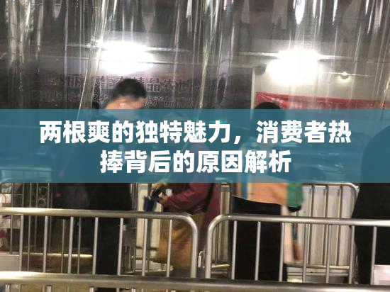 两根爽的独特魅力，消费者热捧背后的原因解析
