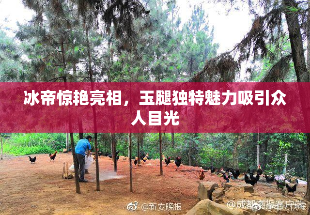冰帝惊艳亮相，玉腿独特魅力吸引众人目光