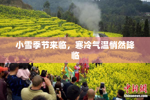 小雪季节来临，寒冷气温悄然降临
