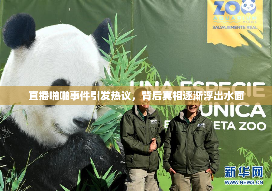 直播啪啪事件引发热议，背后真相逐渐浮出水面
