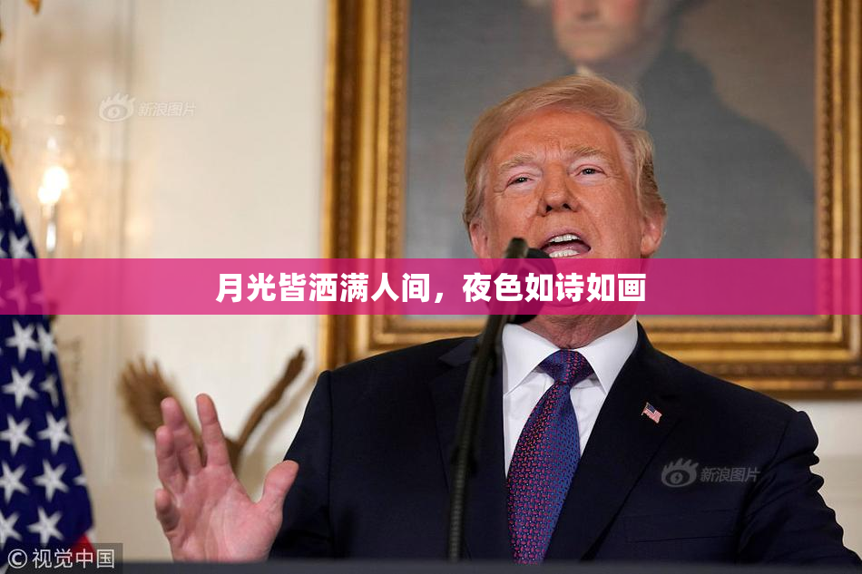 月光皆洒满人间，夜色如诗如画