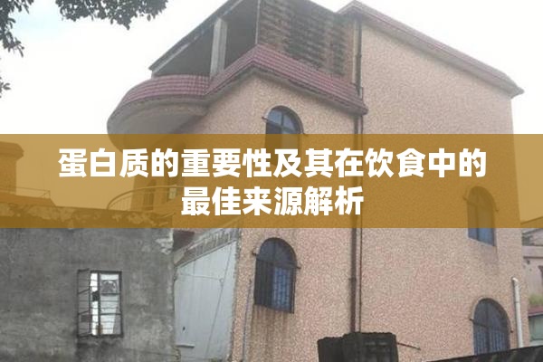 蛋白质的重要性及其在饮食中的最佳来源解析
