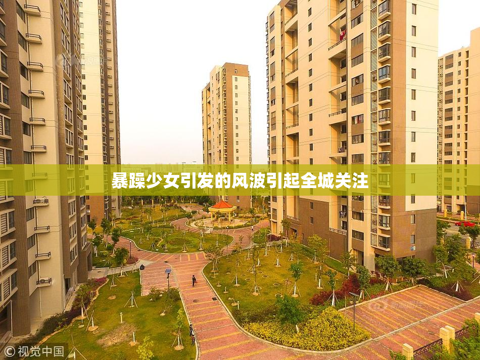 暴躁少女引发的风波引起全城关注