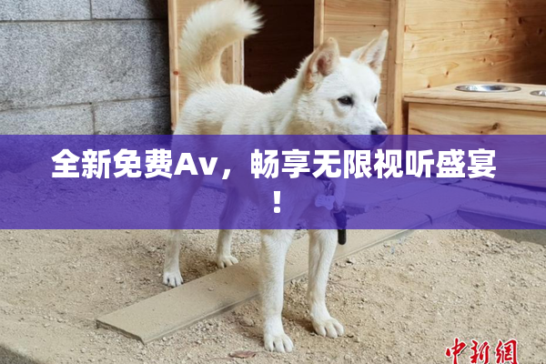 全新免费Av，畅享无限视听盛宴！