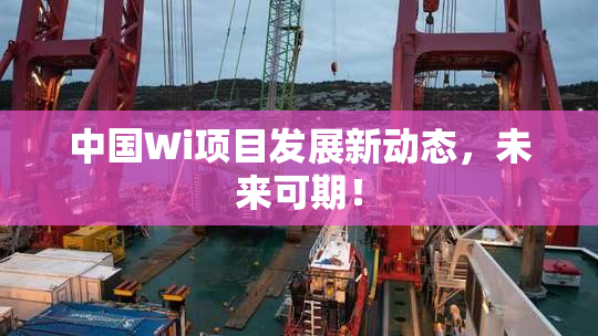 中国Wi项目发展新动态，未来可期！