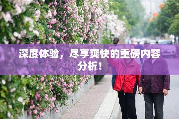 深度体验，尽享爽快的重磅内容分析！