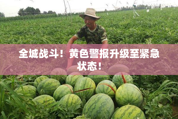 全城战斗！黄色警报升级至紧急状态！