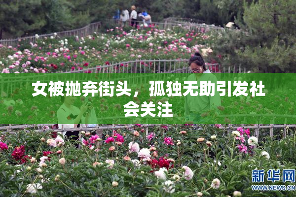 女被抛弃街头，孤独无助引发社会关注