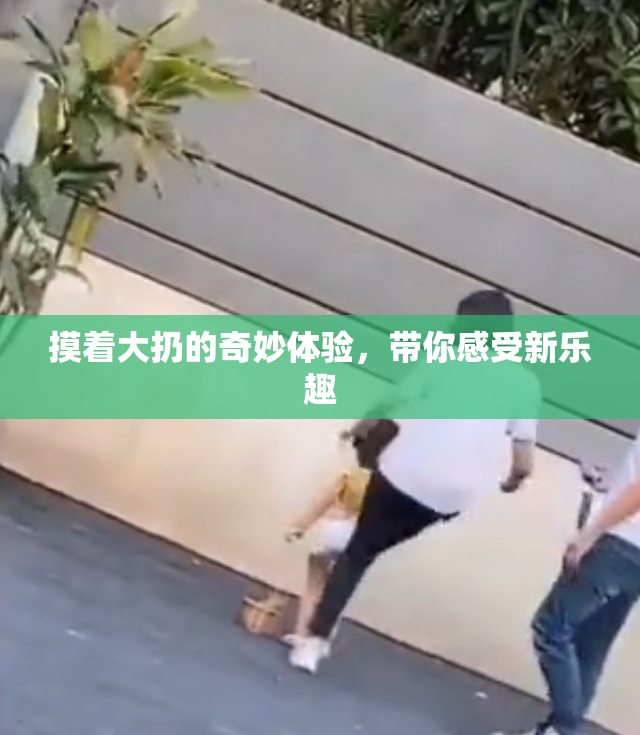 摸着大扔的奇妙体验，带你感受新乐趣