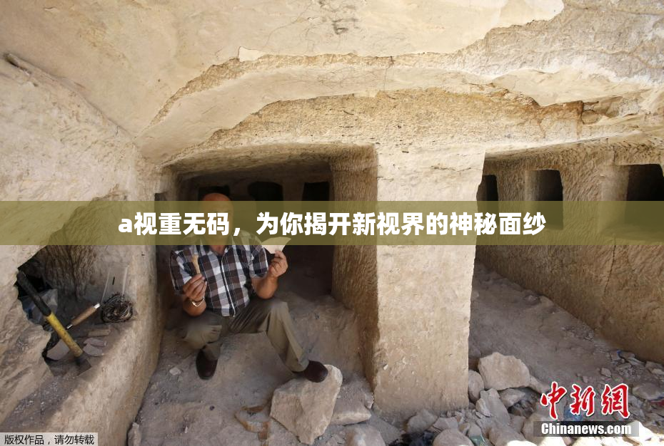 a视重无码，为你揭开新视界的神秘面纱