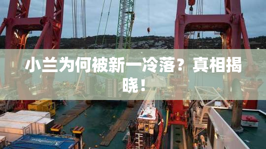 小兰为何被新一冷落？真相揭晓！