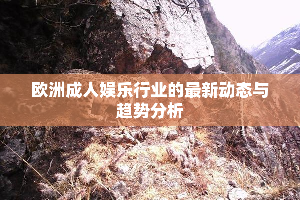 欧洲成人娱乐行业的最新动态与趋势分析