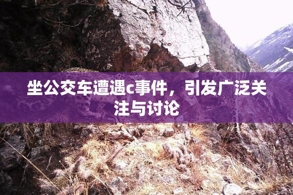 坐公交车遭遇c事件，引发广泛关注与讨论