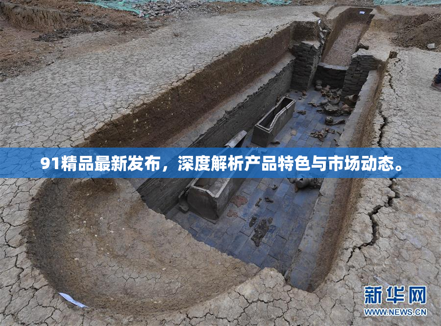 91精品最新发布，深度解析产品特色与市场动态。