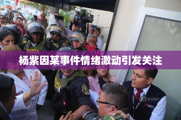 杨紫因某事件情绪激动引发关注