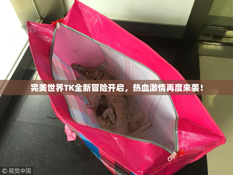 完美世界TK全新冒险开启，热血激情再度来袭！