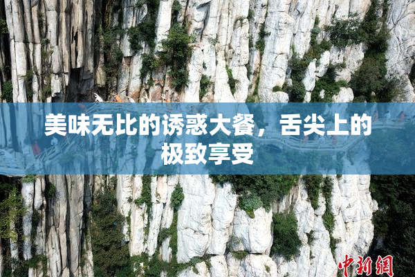 美味无比的诱惑大餐，舌尖上的极致享受