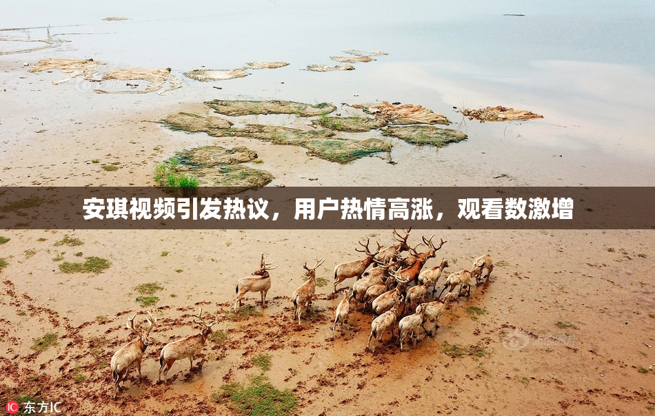 安琪视频引发热议，用户热情高涨，观看数激增