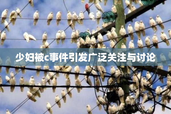 少妇被c事件引发广泛关注与讨论