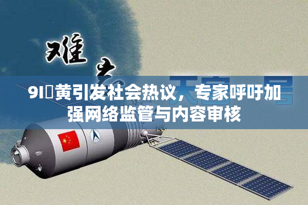 9I婬黄引发社会热议，专家呼吁加强网络监管与内容审核