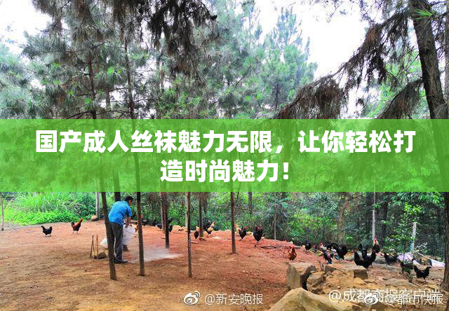 国产成人丝袜魅力无限，让你轻松打造时尚魅力！