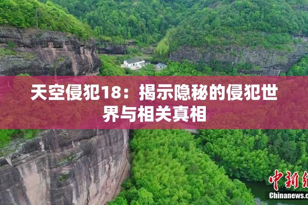 天空侵犯18：揭示隐秘的侵犯世界与相关真相