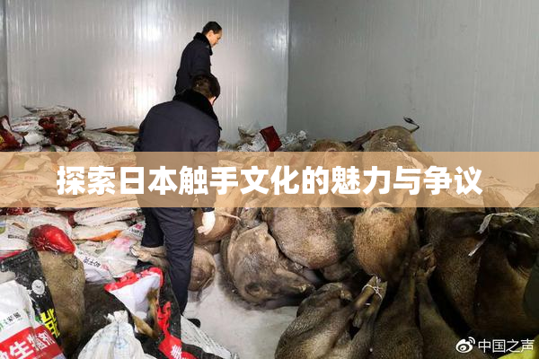 探索日本触手文化的魅力与争议