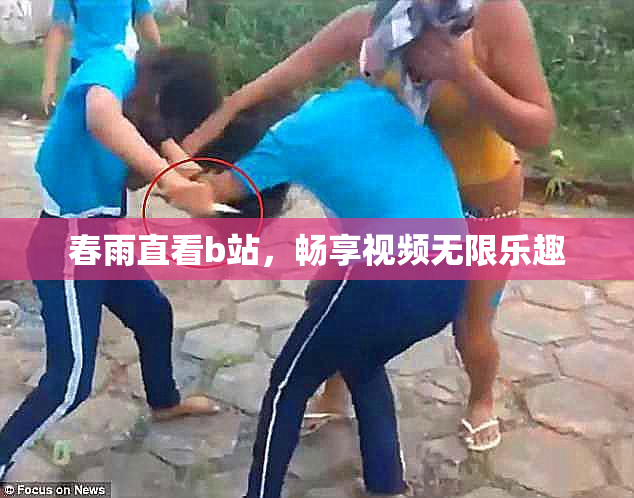 春雨直看b站，畅享视频无限乐趣