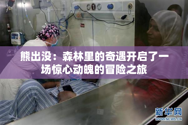 熊出没：森林里的奇遇开启了一场惊心动魄的冒险之旅