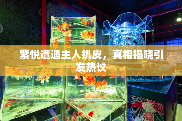 紫悦遭遇主人扒皮，真相揭晓引发热议