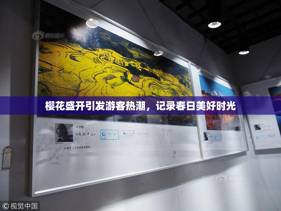 樱花盛开引发游客热潮，记录春日美好时光