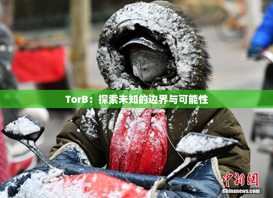 TorB：探索未知的边界与可能性