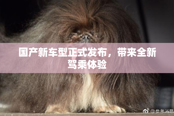 国产新车型正式发布，带来全新驾乘体验