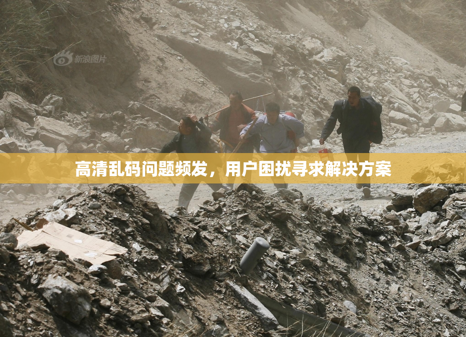 高清乱码问题频发，用户困扰寻求解决方案