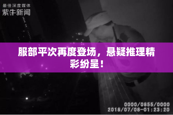 服部平次再度登场，悬疑推理精彩纷呈！