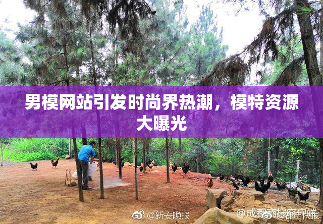 男模网站引发时尚界热潮，模特资源大曝光