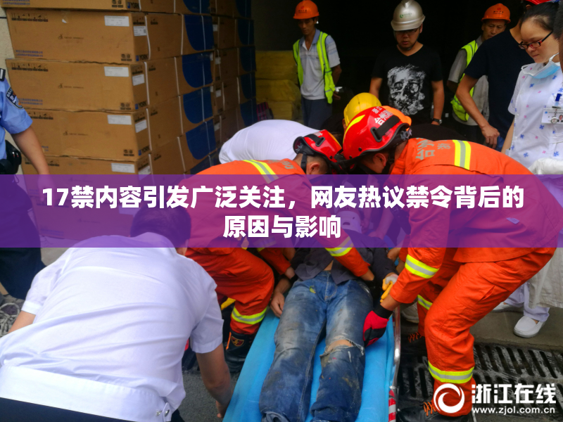 17禁内容引发广泛关注，网友热议禁令背后的原因与影响