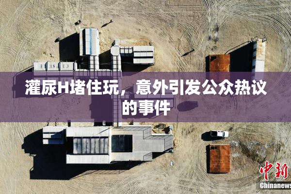 灌尿H堵住玩，意外引发公众热议的事件