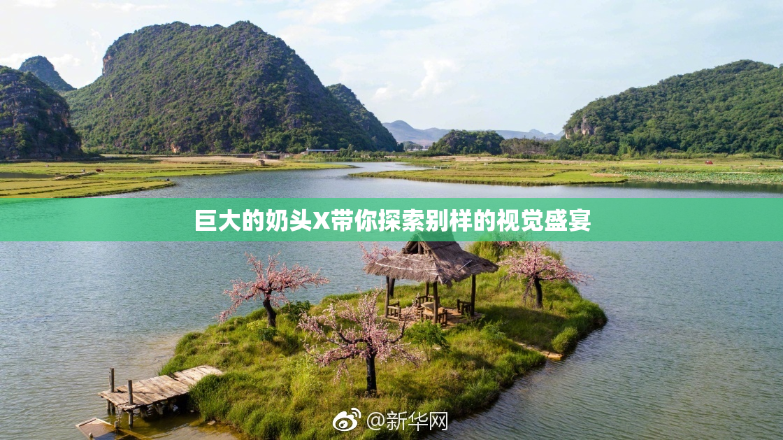巨大的奶头X带你探索别样的视觉盛宴