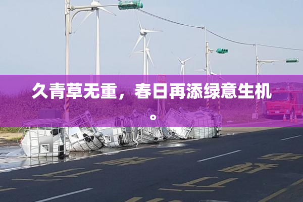 久青草无重，春日再添绿意生机。
