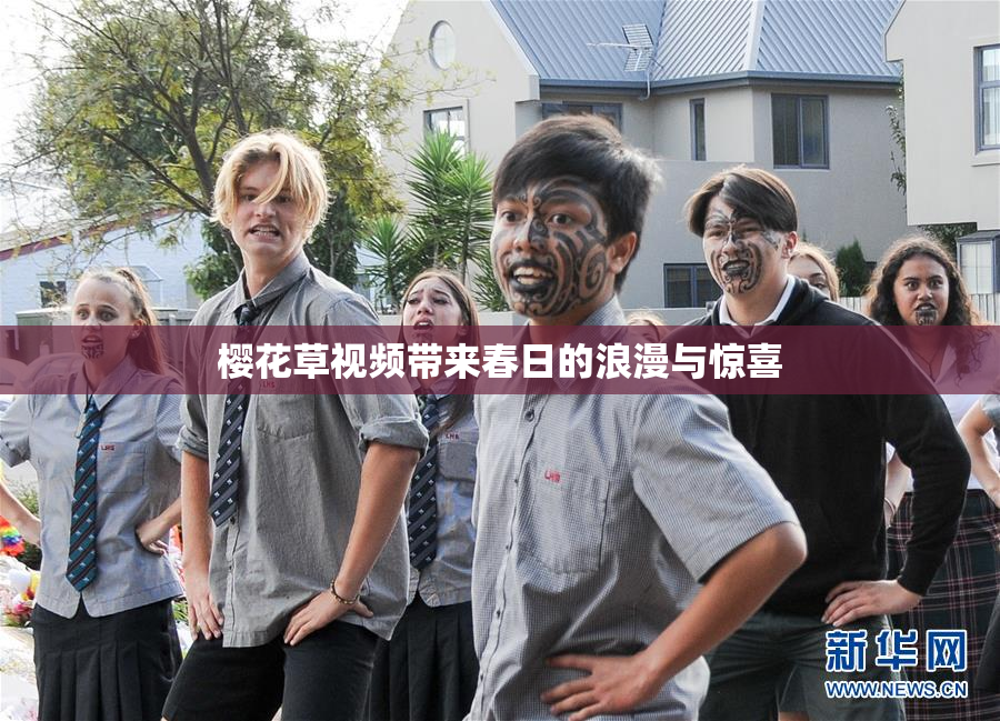 樱花草视频带来春日的浪漫与惊喜